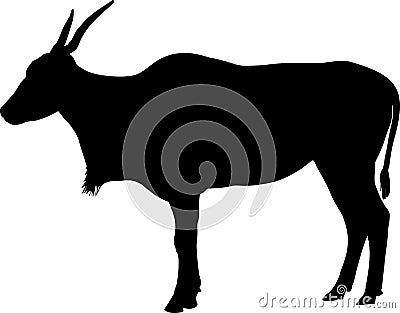 Silhouette of Common eland Stock Photo