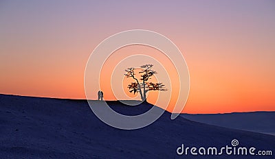 Silhouette of couple under big tree in sunset at Lake Baikal, Olkhon island, Siberia in Russia. Winter time. Love concept Stock Photo