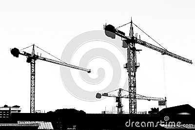 Silhouette crane working building Stock Photo