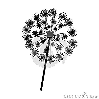 silhouette dandelion with stem and pistil closeup Cartoon Illustration