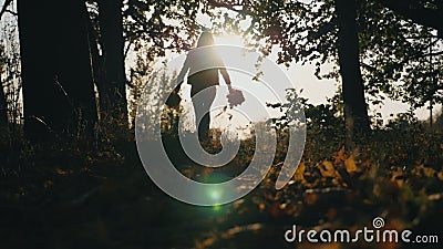 Silhouette de jeune femme fonctionnant par la forêt d'automne avec des bouquets des feuilles jaunes dans des ses mains et les jet banque de vidéos Silhouette de jeune femme fonctionnant par la forêt d'automne avec des bouquets des feuilles jaunes dans des ses mains et les jet banque de vidéos