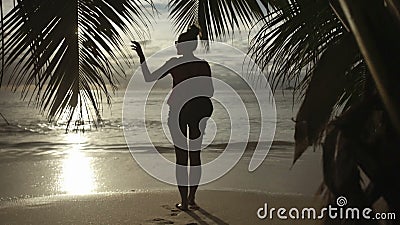 Silhouette de jeune femme regardant le coucher du soleil blanc d'isolement de vue arrière banque de vidéos Silhouette de jeune femme regardant le coucher du soleil blanc d'isolement de vue arrière banque de vidéos
