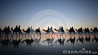 Silhouette des touristes sur le convoi de la tour de chameau sur l'Australie occidentale 03 de broome cable beach banque de vidéos Silhouette des touristes sur le convoi de la tour de chameau sur l'Australie occidentale 03 de broome cable beach banque de vidéos