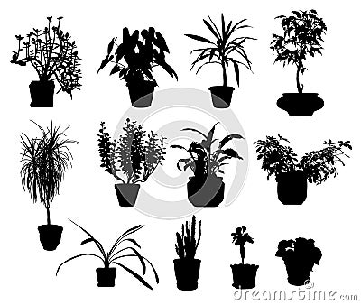 Silhouette of different potted plants Vector Illustration