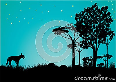 Silhouette of dingo and kangaroo with blue sky and stars Vector Illustration