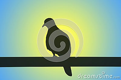Silhouette of a Dove perching on the fence against gradient Blue and Yellow backdrop Stock Photo