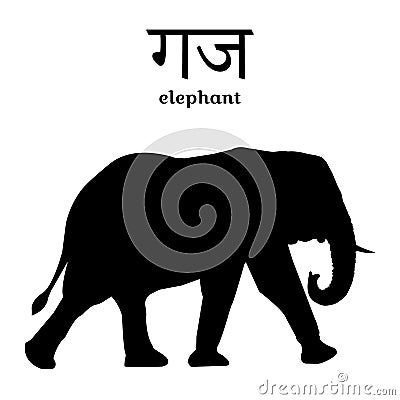Silhouette of an elephant with the inscription in Sanskrit and English. Isolated. Vector illustration Vector Illustration