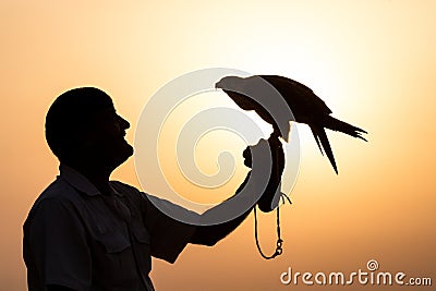 Silhouette of a falcon against a sunrise. Editorial Stock Photo