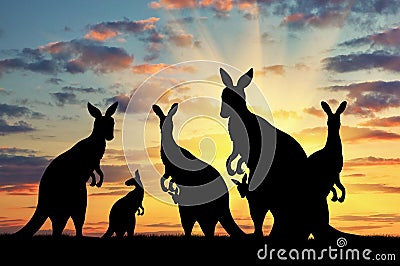 Silhouette family of kangaroos Stock Photo