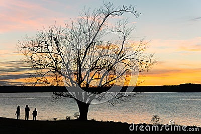 Silhouette of family watching sunset over lake near a large tree Stock Photo