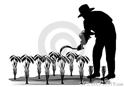 Silhouette Farmer harvest rice cartoon shape Vector Illustration