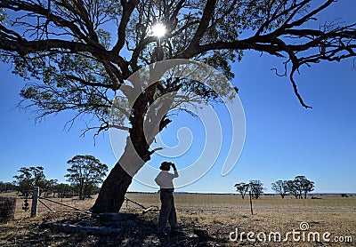 Silhouette of a farmer under a hot sun in rural Australia Editorial Stock Photo