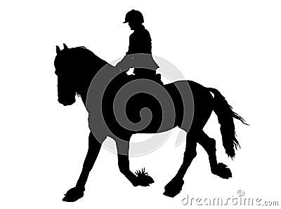 Silhouette of Female Rider on Lipizzaner horse Vector Illustration