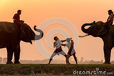 Silhouette fighter tradition Thai boxing or Muay-Thai outdoor Stock Photo