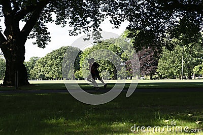 Silhouette figures of passers-by in shade of large trees in Hagley Park Christchurch Editorial Stock Photo
