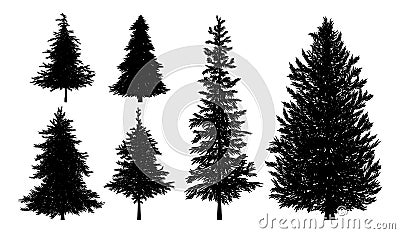 Silhouette of fir or pine trees on white background vector illustration Vector Illustration