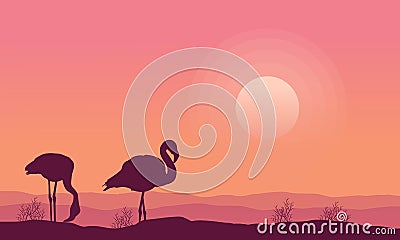 Silhouette flamingo scenery collection stock Vector Illustration