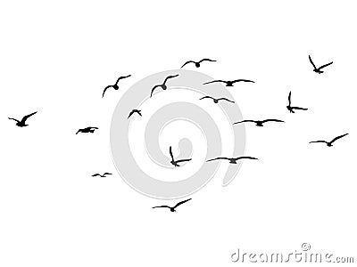 Silhouette Flock of Flying Birds. flying birds on white background. vector illustration Vector Illustration