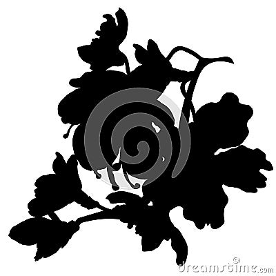 Silhouette flower of the almond blossoms a nut vector illustrat Vector Illustration