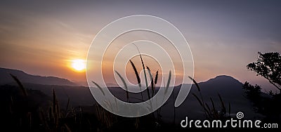 Silhouette flower beside mountain Stock Photo