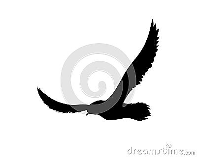 Flying bird.Bird silhouette on white background Vector Illustration