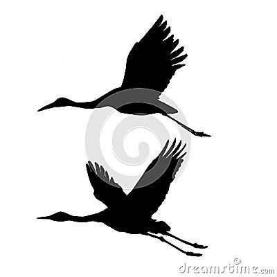 Silhouette Flying Cranes Stock Images - Image: 6513344