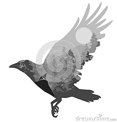 Raven Vector Illustration