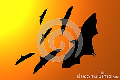 Silhouette of flying foxes Stock Photo