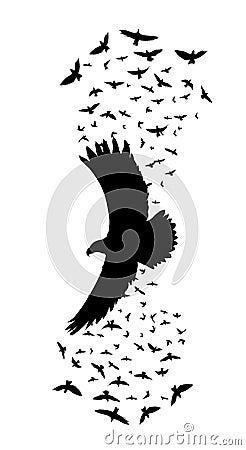 Silhouette of a flying raven. vector illustration. vector outline of raven Vector Illustration