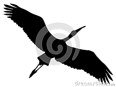 Silhouette of flying stork Vector Illustration