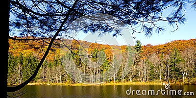 Silhouette framed autumn beauty shot Stock Photo