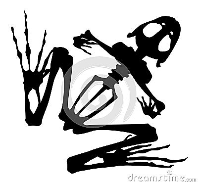 Silhouette of a frog skeleton Vector Illustration