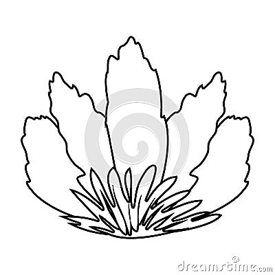 Silhouette front view flower with sepal Vector Illustration