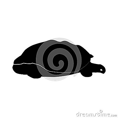 Silhouette of a giant Galapagos Tortoise. Vector illustration. Vector Illustration