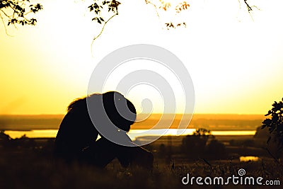 Silhouette of a girl exhausted after physical training, a woman tilted head to knees at sunset Stock Photo