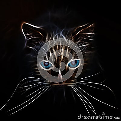 Silhouette of a glowing cat`s muzzle with blue eyes Stock Photo