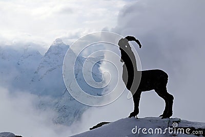 Silhouette of a goat on a background of clouds of snowy mountains Stock Photo