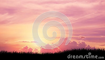 Silhouette grass in Pink purple sky cloud background Stock Photo
