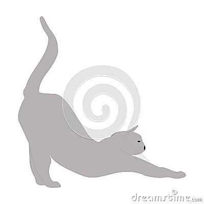 silhouette of a gray cat arches Vector Illustration