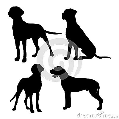 Silhouette of a great Dane. Black silhouette of a dog mastiff, set of illustrations on Vector Illustration