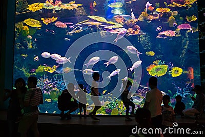 Silhouette group of people with family in front of aquarium tank Editorial Stock Photo