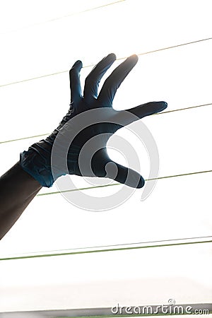 Silhouette Hand Wearing Blue Gloves With Light Louvers Stock Photo