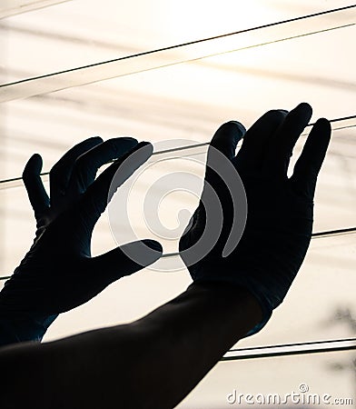 Silhouette Hand Wearing Blue Gloves With Light Louvers Stock Photo