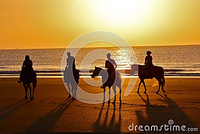 Silhouette horse ride on beach at dawn Stock Photo