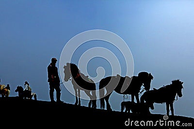 silhouette of a horse service provider with his horses Editorial Stock Photo