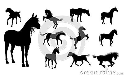 Silhouette Horses Vector Illustration