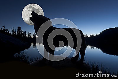 Silhouette of Howling Wolf Stock Photo