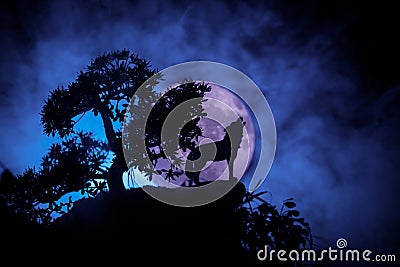 Silhouette of howling wolf against dark toned foggy background and full moon or Wolf in silhouette howling to the full moon. Hallo Stock Photo