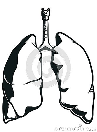 Silhouette Human Lungs Respiration Anatomy Part Vector Illustration