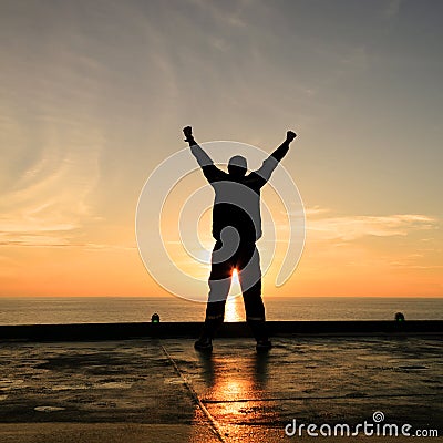 Silhouette Image of Happy Man Showing Winner Action Stock Photo